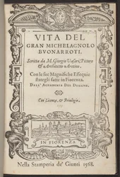 Leven van de grote Michelangelo Buonarroti