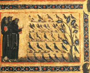 Verhalen van Sint-Franciscus: Sint-Franciscus preekt voor vogels, fresco van Giotto (1267-1337), ca. 1325. Bardi-kapel van Vernio, basiliek van Santa Croce, Florence, Italië