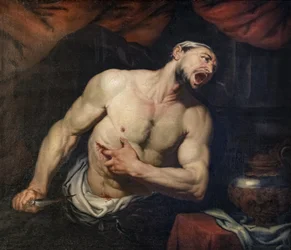 Cato