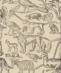 Essempio di recammi, pagina 13 recto, 1530
