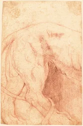 Fragment van een leeuwen bas-reliëf (verso)