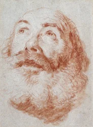 Hoofd van een oude man die omhoog kijkt