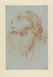 Kop van een oude man