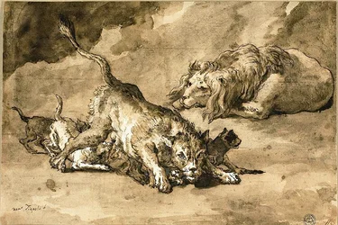 Leeuw, leeuwin en welpen