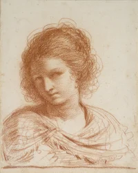Hoofd van een jonge vrouw, 1650 - 1666