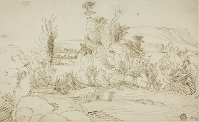 Bos van bomen met heuvels in de verte