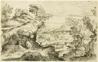 Twee mannen op een bergtop