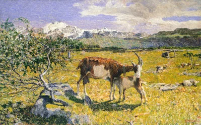 De Alpen in mei
