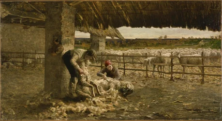 Het schapenscheren, 1883-1884