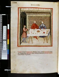 Theatrum sanitatis door Ububchasym de Baldach: 