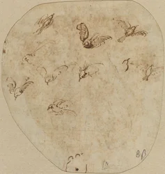 Vogels in vlucht [verso]