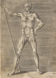 Gevilde man van voren gezien, met een stok in de hand, ca. 1531-76