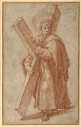 De Twaalf Apostelen: St. Andreas