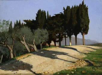 Via di campagna con cipressi