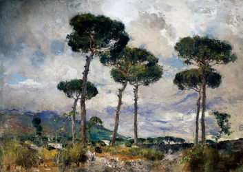 Pijnbomen
