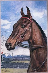 Hoe we de favoriet versloegen, uit Gedichten van Adam Lindsay Gordon gepubliceerd door T. N. Foulis, 1912