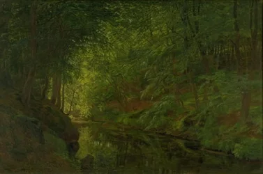 Een beek in Sæbygaard Bos, Vendsyssel, Jutland
