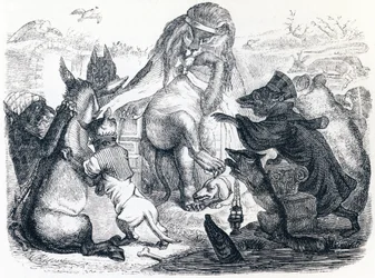 Dieren ziek van de pest