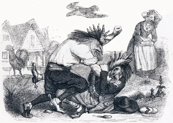 De twee hanen - Fabels van La Fontaine