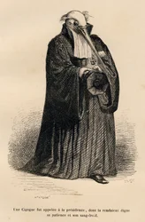 Ooievaar als rechter