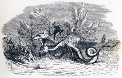 De draak met meerdere koppen en de draak met meerdere staarten - Fabels van La Fontaine
