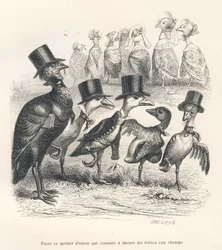 Het beroep van een jonge gans, dat bestaat uit het meenemen van de leerlingen naar de velden. De ganzen verwijderen zich van hun kind. Vignetten geïllustreerd door J. J. Granville. Gravure gesigneerd door Brévière in het deel getiteld 
