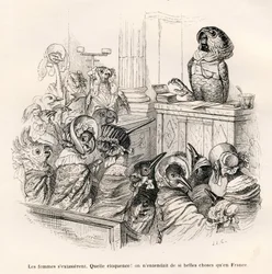 Welsprekende papegaai. Vignetten geïllustreerd door JJ Granville. Gravure gesigneerd Porret in het deel getiteld "Gids-ezel voor dieren die eer willen bereiken" geschreven door Honoré De Balzac in "Scènes uit het privé- en openbare leven van dieren"