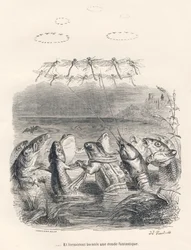 Ronde van waterdieren en libellen. Vignetten geïllustreerd door JJ Granville. Gravure gesigneerd Andrew, Best en Leloir in het deel getiteld "Herinneringen van een oude kraai" geschreven door PJ Stahl in "Scènes uit het privé- en openbare leven van dieren"