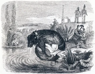 De hond die zijn prooi opgeeft voor de schaduw - Fabels van La Fontaine