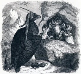 De adelaar en de uil