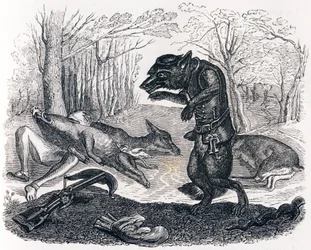 De wolf en de jager - Fabels van La Fontaine