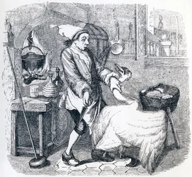 De zwaan en de kok - Fabels van La Fontaine