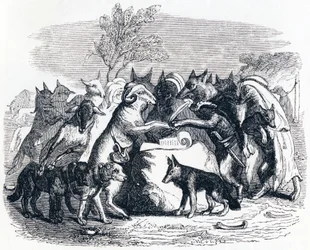 De wolven en de schapen