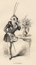 Een oude vlinder die de tijd bekijkt met zijn bril. Geïllustreerde vignetten door JJ Granville. Gravure gesigneerd door Breviere in het deel getiteld "De avonturen van een vlinder" geschreven door PJ Stahl in "Scènes uit het privé- en openbare leven van di