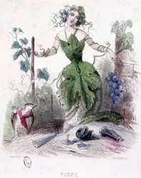 Vrouw, allegorie van de wijnstok - tekening door Grandville