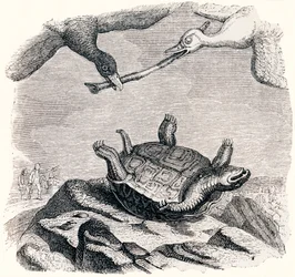 De schildpad en de twee eenden - Fabels van La Fontaine