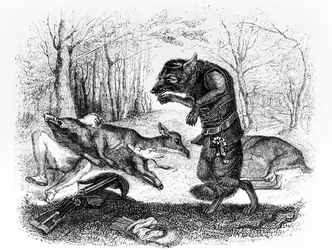 De Wolf en de Jager, illustratie voor 