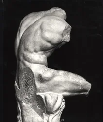 Belvedere torso