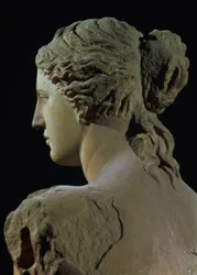Venus van Milo, detail van de achterkant van het hoofd