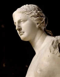 Venus de Milo (detail van het hoofd)