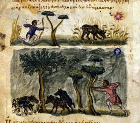 Beren- en zwijnenjacht - in 
