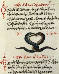 Slang koppeling, test en miniatuur uit De animalium natura et proprietate libellus, door Aelianus