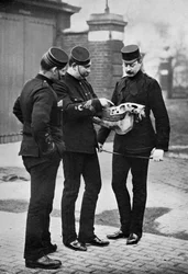 Een veterinaire demonstratie, 1st Life Guards, 1896