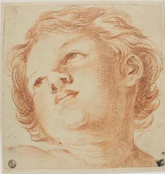 Hoofd van Putto