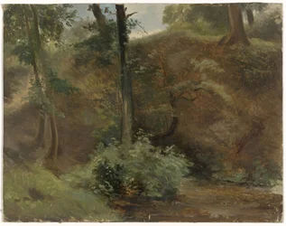 Bomen in een duinlandschap