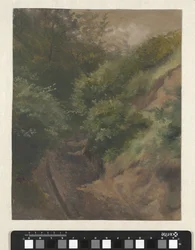 Duinweg