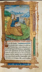 Gedrukt Getijdenboek (Gebruik van Rome): fol. 17r, St. Johannes op Patmos