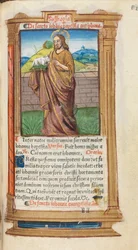Gedrukt getijdenboek (gebruik van Rome): fol. 98r, St. Johannes de Doper