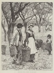 Landbouwscènes, november, de appeloogst