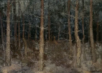 Mystieke paden, Uitzicht op het bos